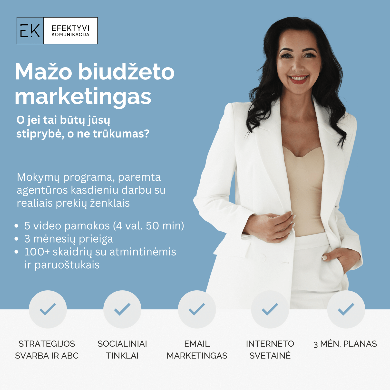 Mažo biudžeto marketingas mokymų programa, aut. Joana Šaulienė